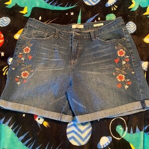 Vintage American Jean Shorts